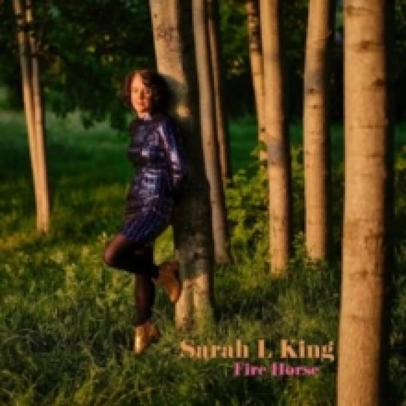 Image of Fire Horse CD / Album