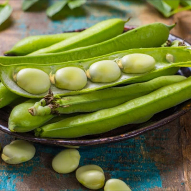 Image of Thompson & Morgan Vroma Broad Bean Seeds - Early High-Yielding Hardy Annual Large Pods - Rhs Award - 1 Packet (50 Seeds)