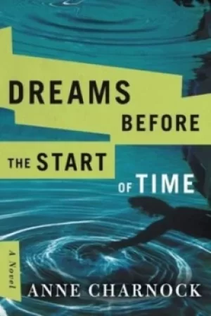 Image of Dreams before the start of time by Anne Charnock