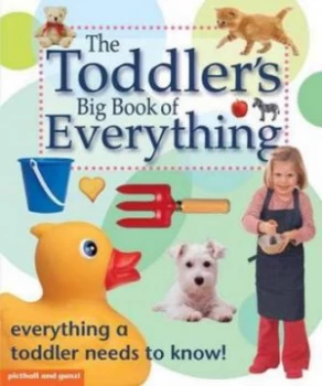 Image of Toddlers Big Book of Everything by Chez Picthall Hardback