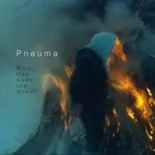 Image of Who Has Seen the Wind?