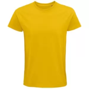 Image of SOLS Unisex Adult Pioneer Organic T-Shirt (XL) (Gold)
