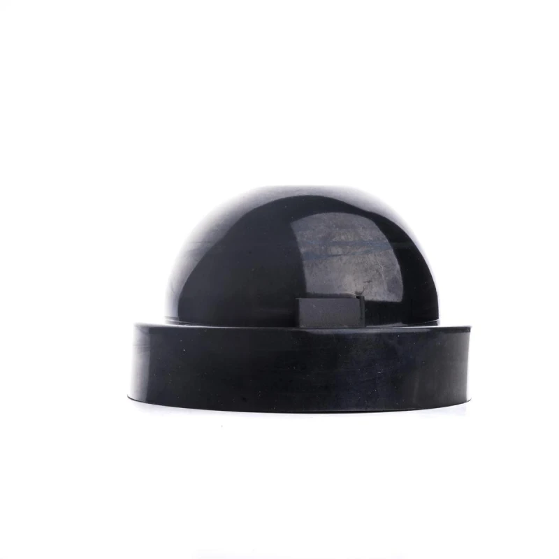 Image of EINPARTS Cap, headlight EINPARTS EPC20