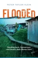 Image of flooded development democracy and brazils belo monte dam