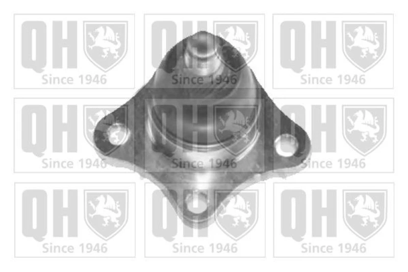Image of QUINTON HAZELL Ball Joint QUINTON HAZELL QSJ3513S