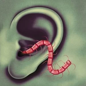 Image of An Odd Entrances by Thee Oh Sees CD Album