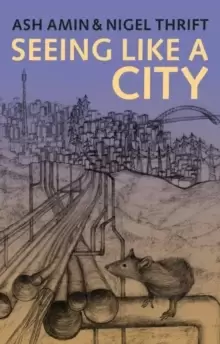 Image of Seeing Like a City