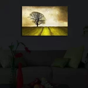 Image of 4570?ACT-48 Multicolor Decorative LED Lighted Canvas Painting