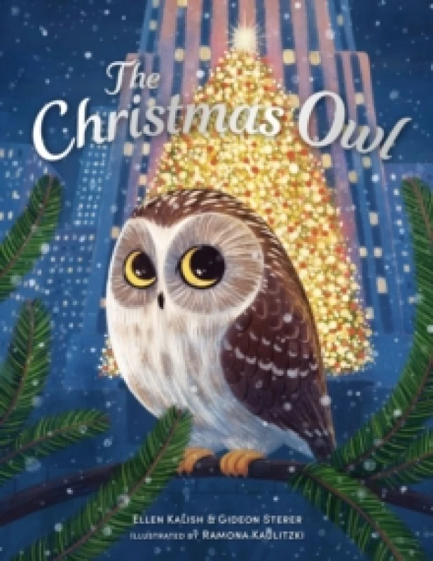Image of The Christmas Owl Paperback / softback