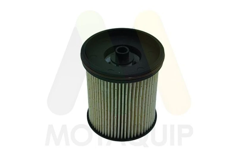 Image of MOTAQUIP Fuel filter MOTAQUIP LVFF811