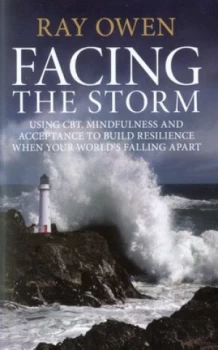 Image of Facing the Storm by Ray Owen Paperback