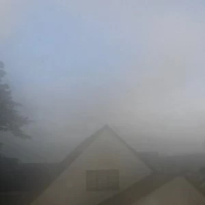 Image of This Is Where - This Is Where Vinyl