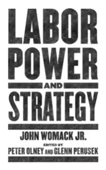 Image of Labor Power And Strategy