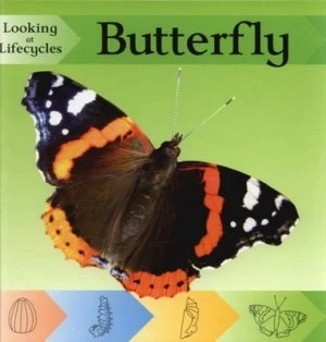 Image of Butterfly by Victoria Huseby Hardback