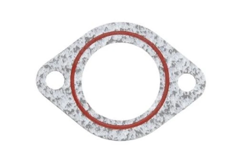 Image of LEMA 24025.00 Gaskets Gasket,water pump (314)