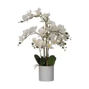 image of EGLO Hyuga Artificial Orchid Plant With Grey Plastic Pot