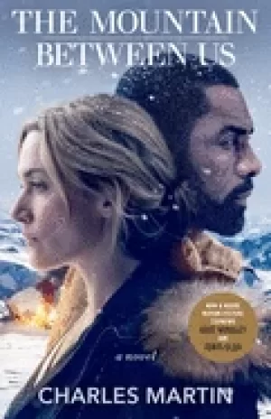 Image of mountain between us a novel