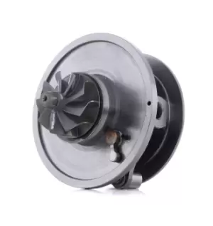 Image of RIDEX Turbo cartridge VW,AUDI,SKODA 4973C0106 03825016KX,038253010A,038253010AV 038253010AX,038253010D,038253010DV,038253010DX,038253010G,038253010GV