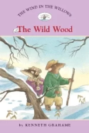 Image of wind in the willows wild wood no 3