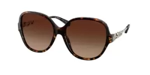 Image of Coach Sunglasses HC8303B 512074