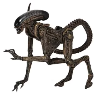 Image of Ultimate Dog Alien (Alien 3) Neca Action Figure