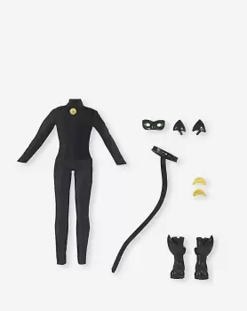 Image of Miraculous Superhero Secret Cat Noir