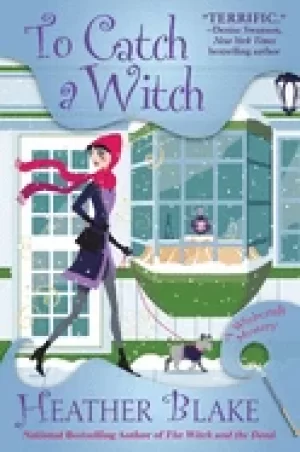 Image of to catch a witch a wishcraft mystery
