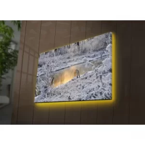 Image of 4570DACT-76 Multicolor Decorative LED Lighted Canvas Painting