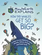 Image of minuteearth explains how did whales get so big and other curious questions