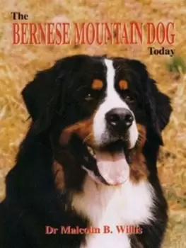 Image of The Bernese mountain dog today by M. B Willis
