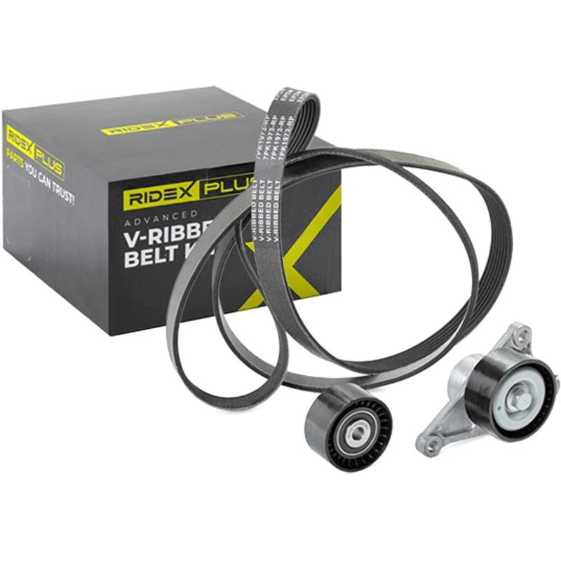 Image of RIDEX PLUS 542R0022P V-ribbed belt set V-Ribbed Belt Set (542)