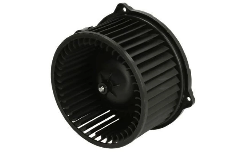 Image of THERMOTEC Blower motor THERMOTEC DDG019TT