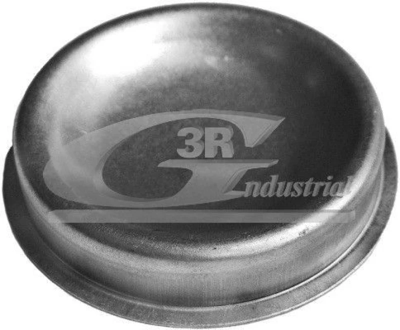 Image of 3RG Cap, wheel bearing 3RG 80226