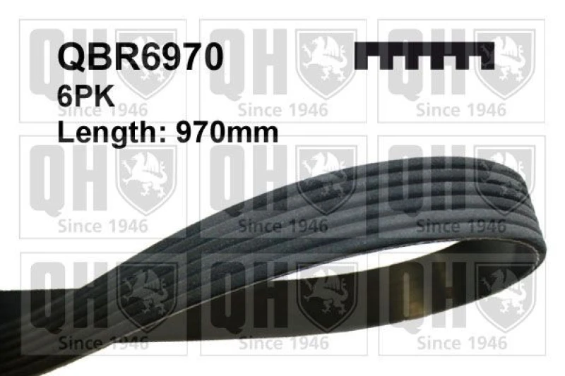 Image of QUINTON HAZELL Serpentine belt QUINTON HAZELL QBR6970