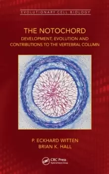 Image of The Notochord : Development, Evolution and contributions to the vertebral column