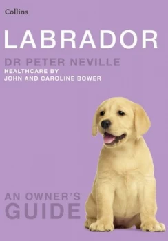 Image of Labrador by Dr. Peter Neville Paperback