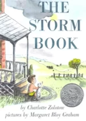 Image of storm book