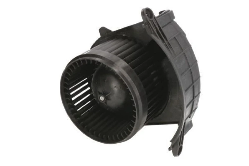 Image of THERMOTEC Blower motor THERMOTEC DDR019TT