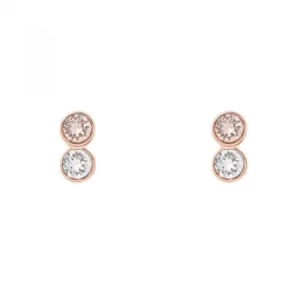 image of Ladies Karen Millen PVD rose plating TINY DOT STUD EARRING