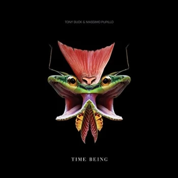 Image of TONY BUCK AND MASSIMO PUPILLO - Time Being Vinyl