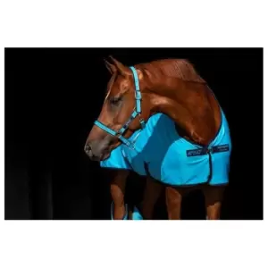 image of Amigo Headcollar - Blue