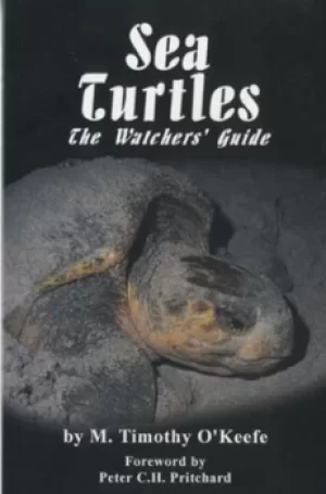 Image of Sea turtles by M. Timothy OKeefe