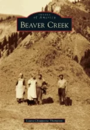 Image of beaver creek