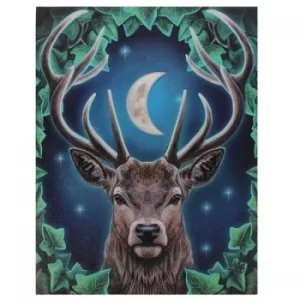 Image of 19x25 Emperor Canvas by Lisa Parker