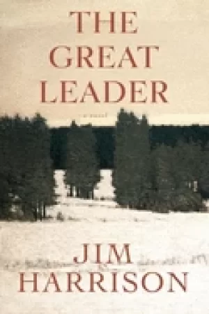 Image of great leader