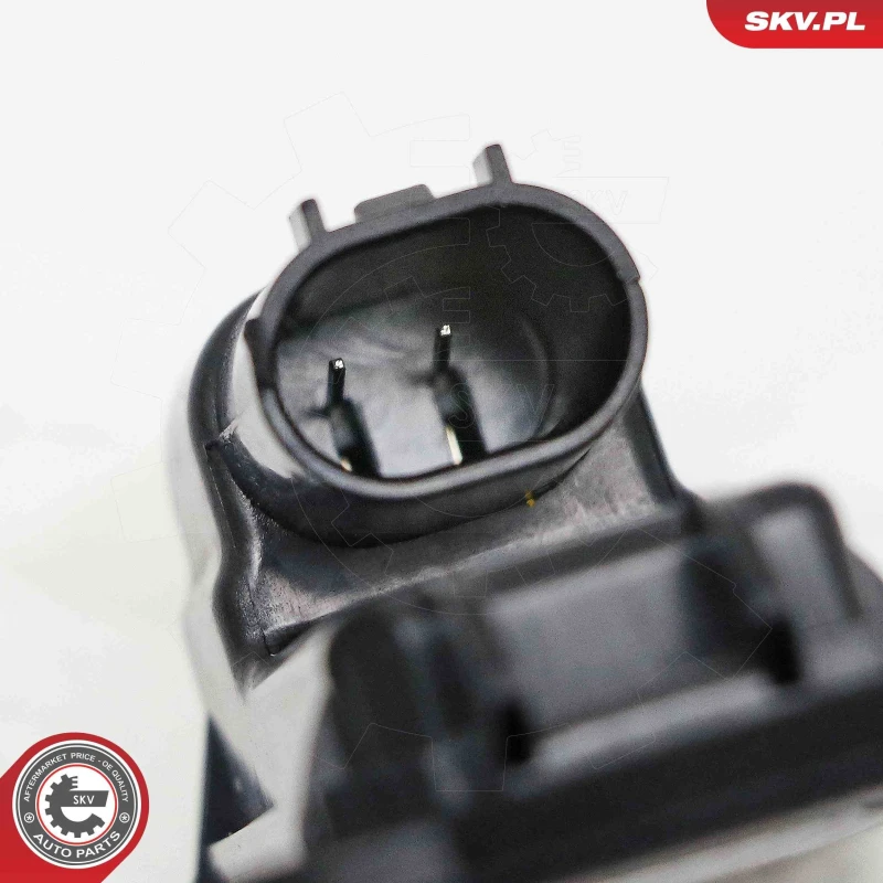 Image of ESEN SKV Number plate light ESEN SKV 72SKV623