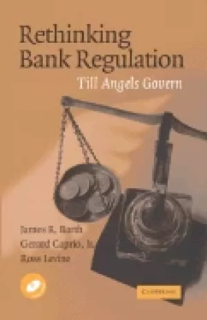 Image of rethinking bank regulation till angels govern