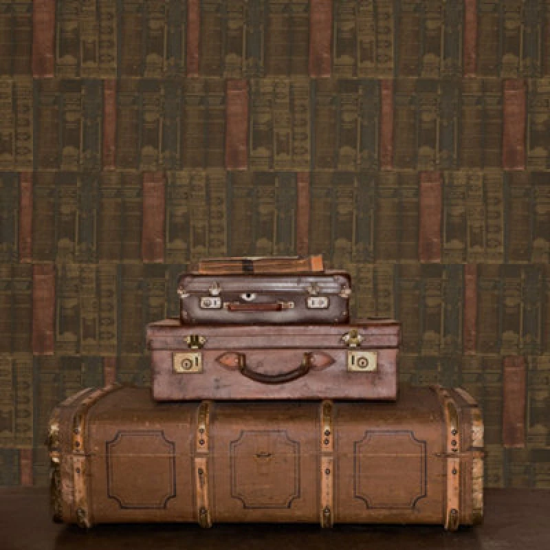 Image of Galerie Nostalgie Brown Library Books Smooth Wallpaper