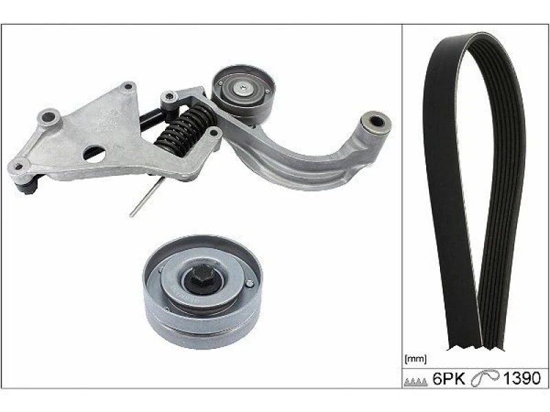 Image of V-Ribbed Belt Set INA 529 0457 10