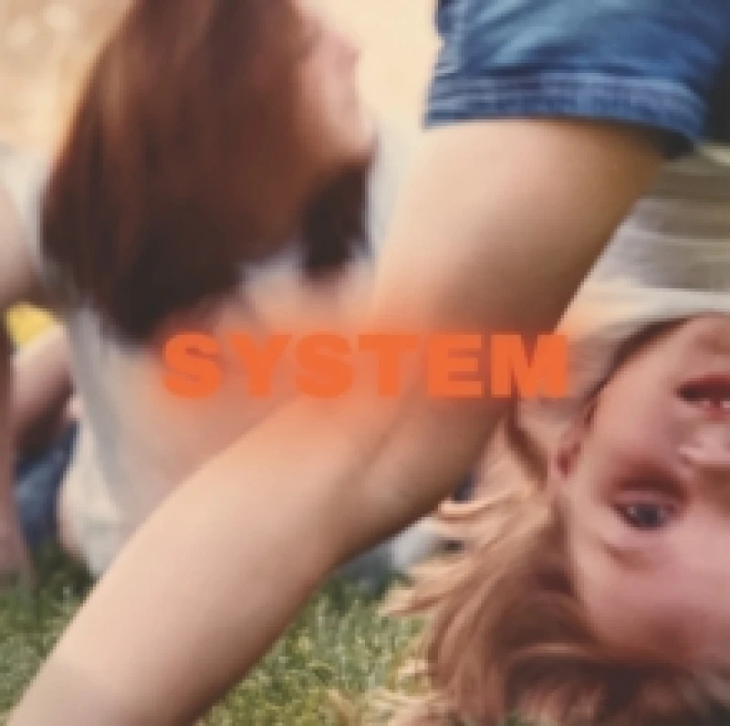 Image of System Vinyl